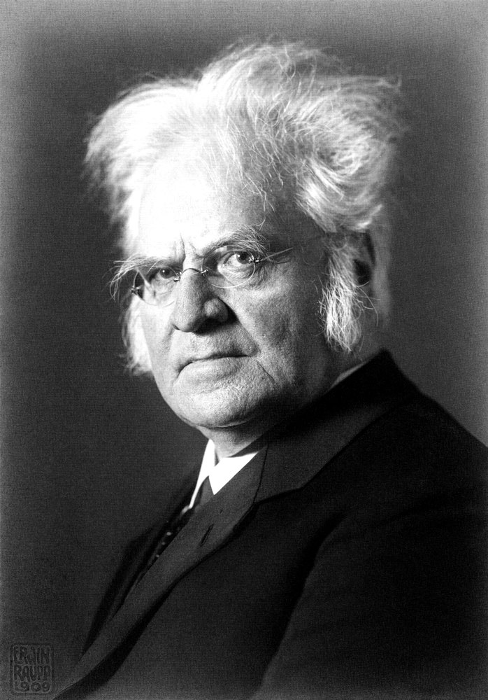 Portrait of Bjørnstjerne Bjørnson