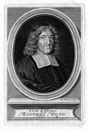 Portrait of Matthew Mead