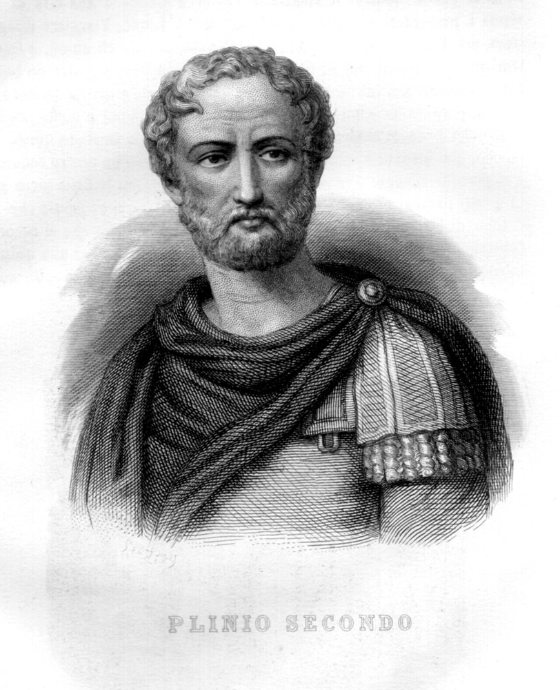 Portrait of Pliny the Elder