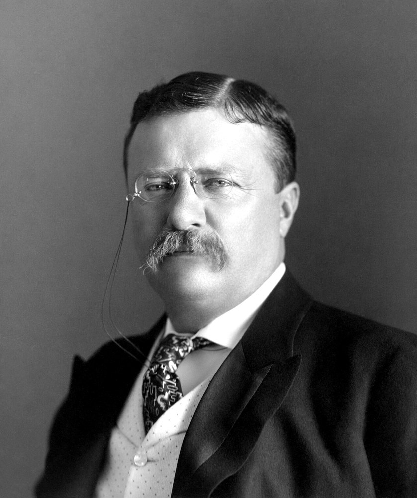 Portrait of Theodore Roosevelt