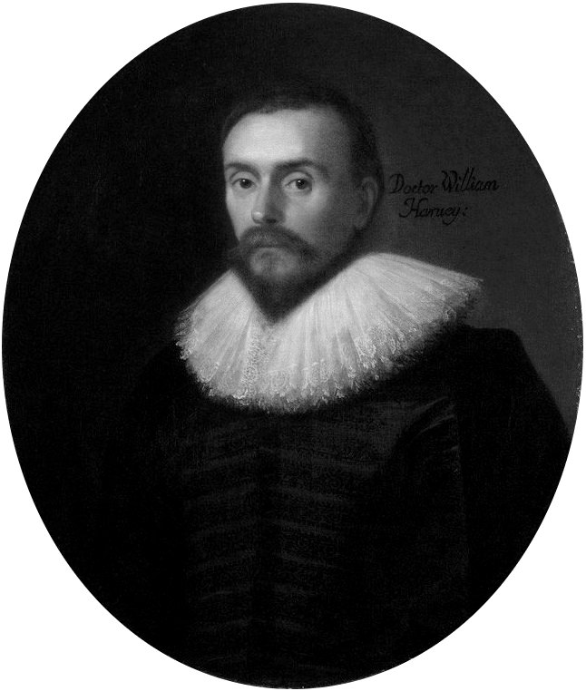 Portrait of William Harvey